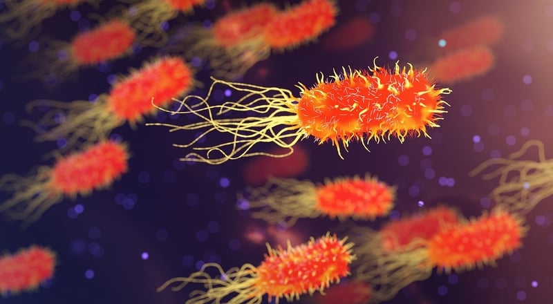 Microbial Organisms